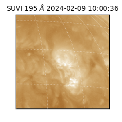 suvi - 2024-02-09T10:00:36.311000