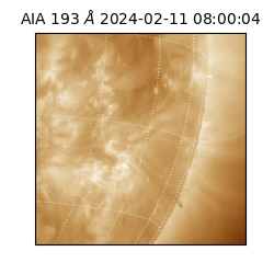 saia - 2024-02-11T08:00:04.843000