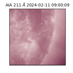 saia - 2024-02-11T09:00:09.626000