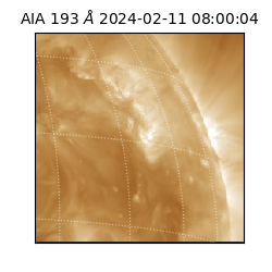 saia - 2024-02-11T08:00:04.843000