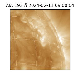 saia - 2024-02-11T09:00:04.843000