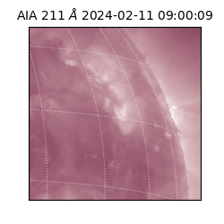 saia - 2024-02-11T09:00:09.626000