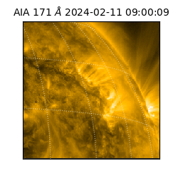 saia - 2024-02-11T09:00:09.351000