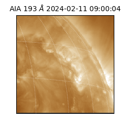 saia - 2024-02-11T09:00:04.843000