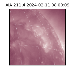 saia - 2024-02-11T08:00:09.626000