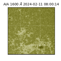 saia - 2024-02-11T08:00:14.126000