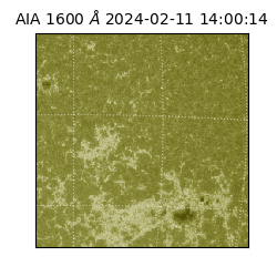 saia - 2024-02-11T14:00:14.126000