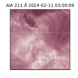 saia - 2024-02-11T03:00:09.631000