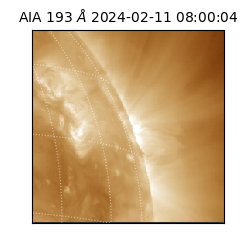 saia - 2024-02-11T08:00:04.843000