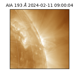 saia - 2024-02-11T09:00:04.843000