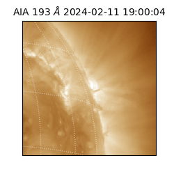 saia - 2024-02-11T19:00:04.843000