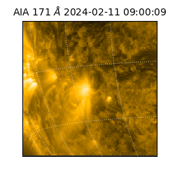 saia - 2024-02-11T09:00:09.351000