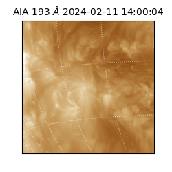 saia - 2024-02-11T14:00:04.843000