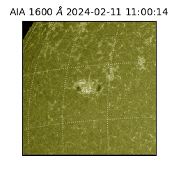 saia - 2024-02-11T11:00:14.126000