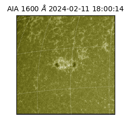 saia - 2024-02-11T18:00:14.131000