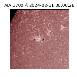 saia - 2024-02-11T08:00:28.717000