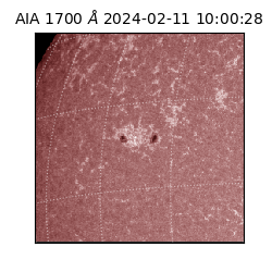 saia - 2024-02-11T10:00:28.718000