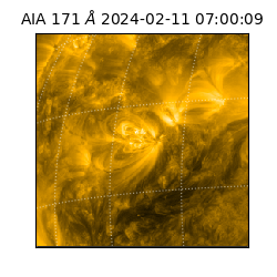saia - 2024-02-11T07:00:09.342000