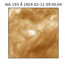 saia - 2024-02-11T09:00:04.843000