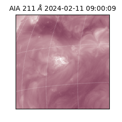 saia - 2024-02-11T09:00:09.626000