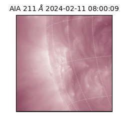 saia - 2024-02-11T08:00:09.626000