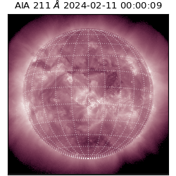 saia - 2024-02-11T00:00:09.624000