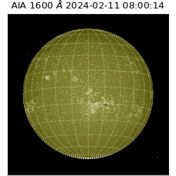 saia - 2024-02-11T08:00:14.126000