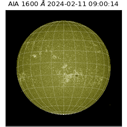 saia - 2024-02-11T09:00:14.130000