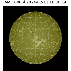 saia - 2024-02-11T10:00:14.133000