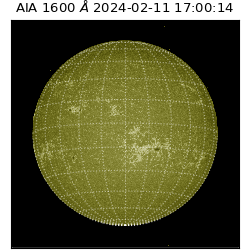 saia - 2024-02-11T17:00:14.129000