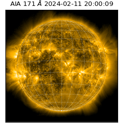 saia - 2024-02-11T20:00:09.350000