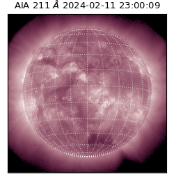 saia - 2024-02-11T23:00:09.633000