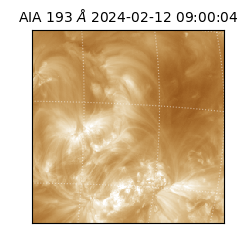 saia - 2024-02-12T09:00:04.843000