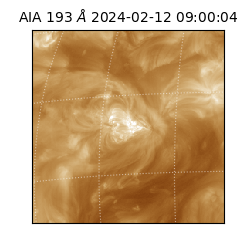 saia - 2024-02-12T09:00:04.843000