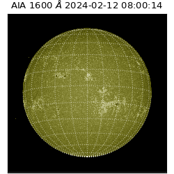 saia - 2024-02-12T08:00:14.126000