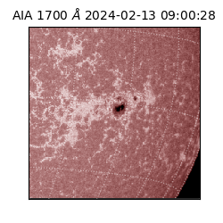 saia - 2024-02-13T09:00:28.710000