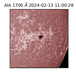 saia - 2024-02-13T11:00:28.719000