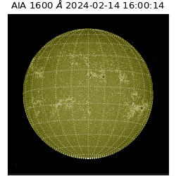 saia - 2024-02-14T16:00:14.126000