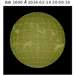 saia - 2024-02-14T20:00:14.130000