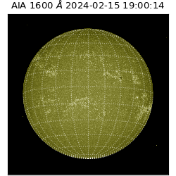 saia - 2024-02-15T19:00:14.126000