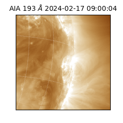 saia - 2024-02-17T09:00:04.843000