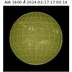 saia - 2024-02-17T17:00:14.126000