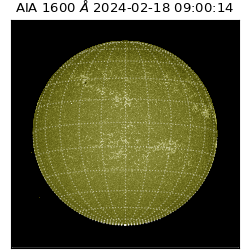 saia - 2024-02-18T09:00:14.126000