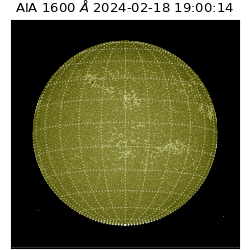 saia - 2024-02-18T19:00:14.125000