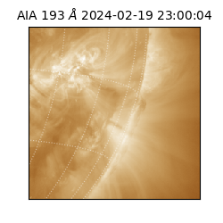 saia - 2024-02-19T23:00:04.843000