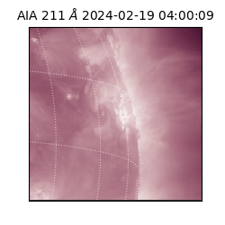 saia - 2024-02-19T04:00:09.618000
