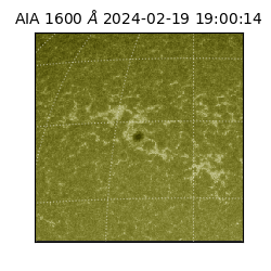 saia - 2024-02-19T19:00:14.126000