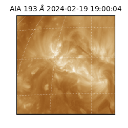 saia - 2024-02-19T19:00:04.843000