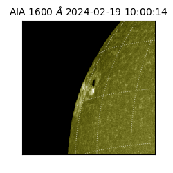 saia - 2024-02-19T10:00:14.125000