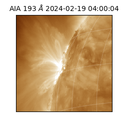 saia - 2024-02-19T04:00:04.835000